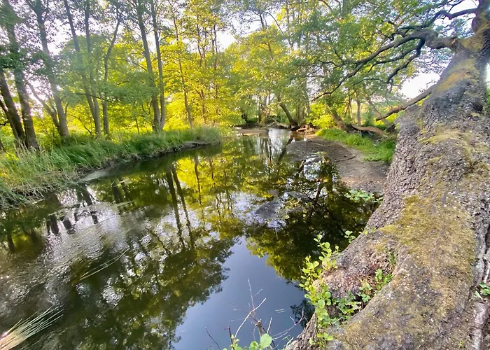 Gutshaus アパート *